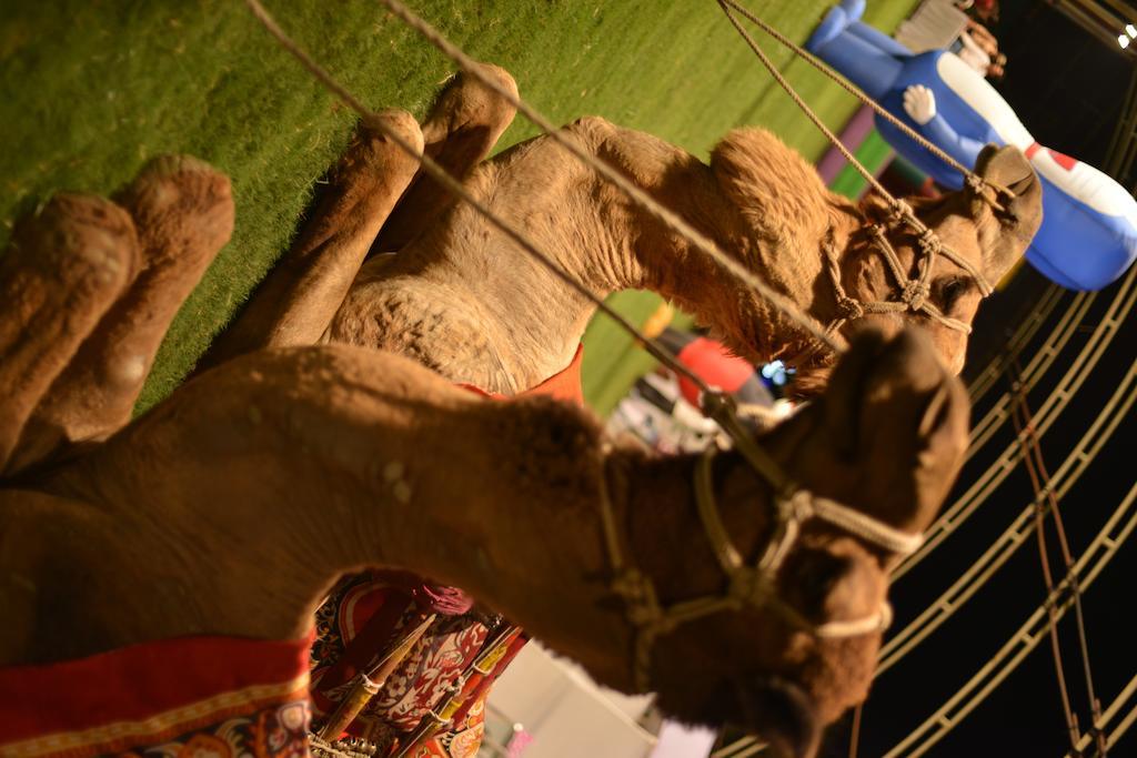 Meuse Jupiter Business And Luxury Hotel Nashik Ngoại thất bức ảnh